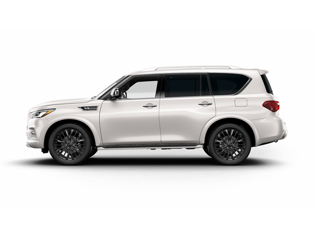 2024 INFINITI QX80 Vehicle Photo in San Antonio, TX 78230