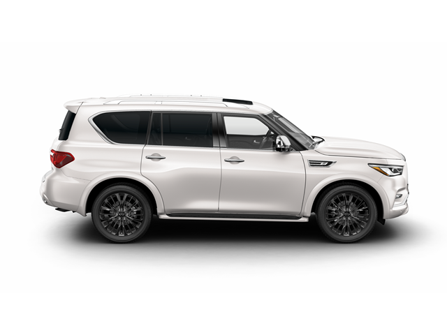 2024 INFINITI QX80 Vehicle Photo in San Antonio, TX 78230