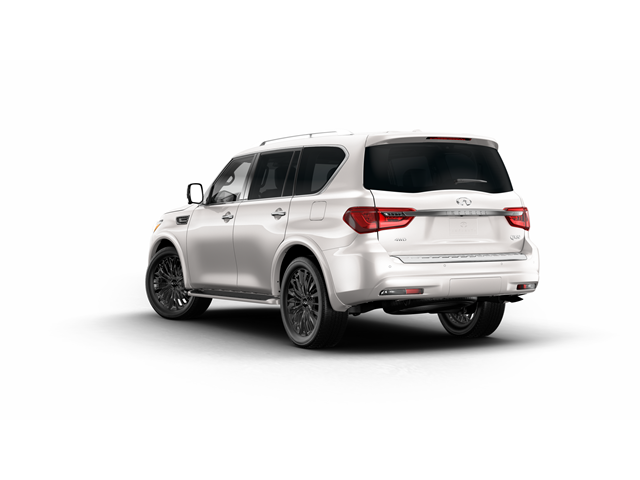 2024 INFINITI QX80 Vehicle Photo in San Antonio, TX 78230