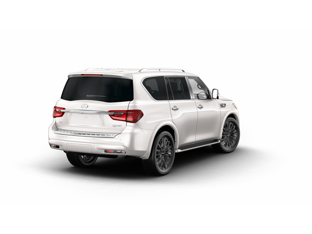 2024 INFINITI QX80 Vehicle Photo in San Antonio, TX 78230