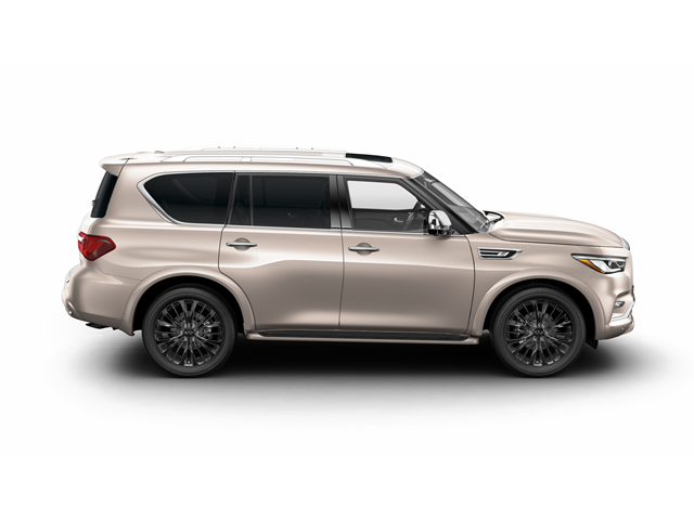 2024 INFINITI QX80 Vehicle Photo in San Antonio, TX 78230