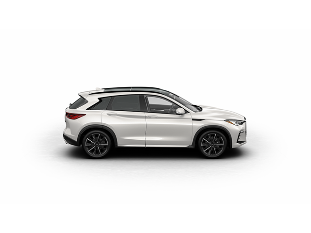 2024 INFINITI QX50 Vehicle Photo in San Antonio, TX 78230