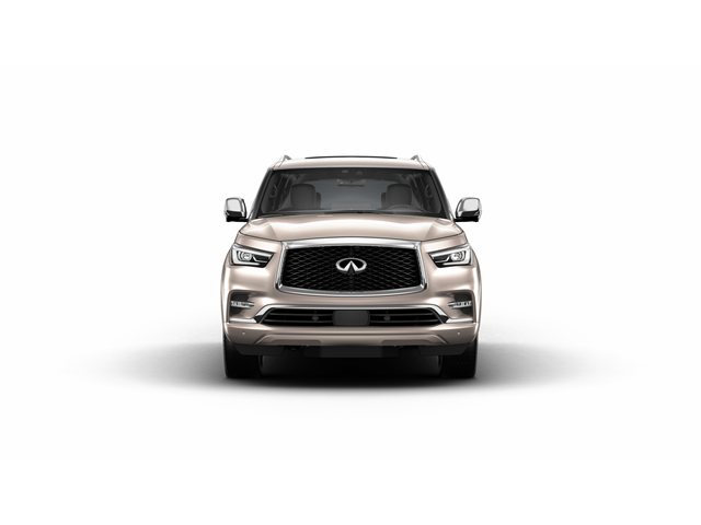 2024 INFINITI QX80 Vehicle Photo in San Antonio, TX 78230