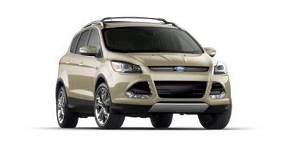 2013 Ford Escape Vehicle Photo in Plainfield, IL 60586