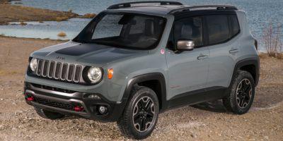 2015 Jeep Renegade Vehicle Photo in GRAND BLANC, MI 48439-8139