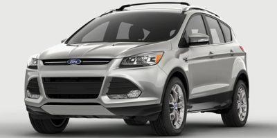 2015 Ford Escape Vehicle Photo in Danville, KY 40422-2805