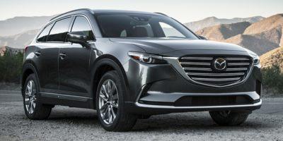 2019 Mazda CX-9 Vehicle Photo in Plainfield, IL 60586