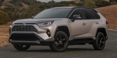 2019 Toyota RAV4 Vehicle Photo in Ft. Myers, FL 33907