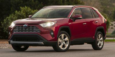 2019 Toyota RAV4 Vehicle Photo in Pinellas Park , FL 33781