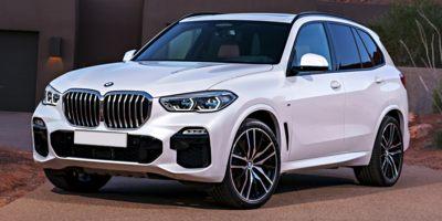 2019 BMW X5 xDrive40i Vehicle Photo in Bradenton, FL 34207