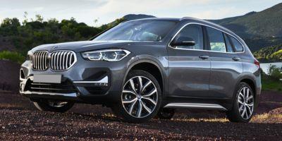 2020 BMW X1 xDrive28i Vehicle Photo in Davie, FL 33331