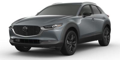 2022 Mazda CX-30 Vehicle Photo in Clearwater, FL 33765