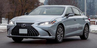 2022 Lexus ES Vehicle Photo in KANSAS CITY, MO 64114-4545