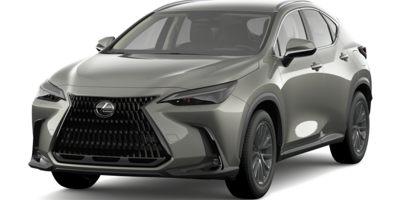 2023 Lexus NX 250 Vehicle Photo in Maitland, FL 32751