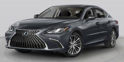 2023 Lexus ES 250 Vehicle Photo in West Palm Beach, FL 33417