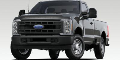 2024 Ford Super Duty F-250 SRW Vehicle Photo in Weatherford, TX 76087-8771