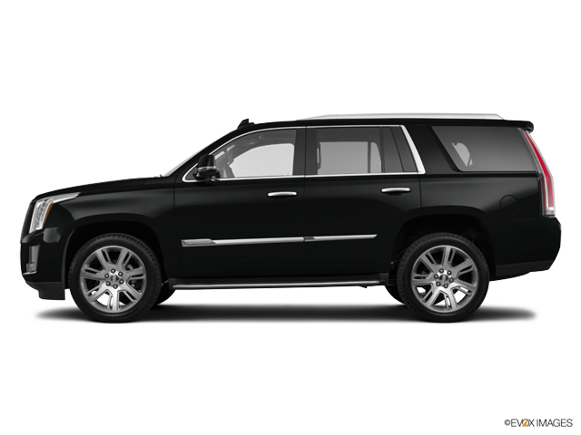 2016 Cadillac Escalade Vehicle Photo in KANSAS CITY, MO 64114-4545