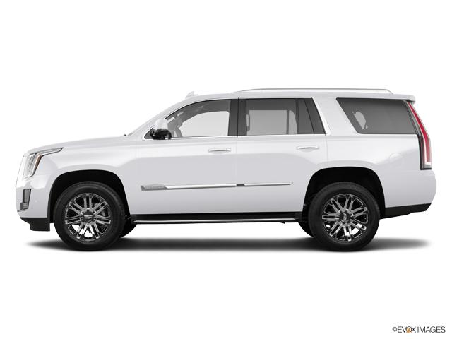 2019 Cadillac Escalade Vehicle Photo in BRUNSWICK, GA 31525-1881