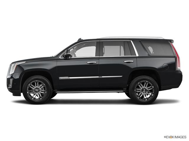 2019 Cadillac Escalade Vehicle Photo in TREVOSE, PA 19053-4984