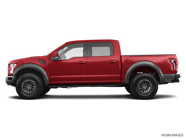 2019 Ford F-150 Vehicle Photo in POOLER, GA 31322-3252