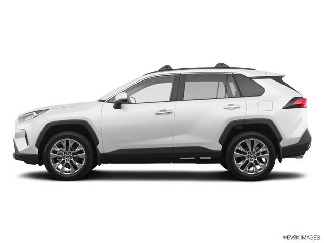 2019 Toyota RAV4 Vehicle Photo in BEAUFORT, SC 29906-4218