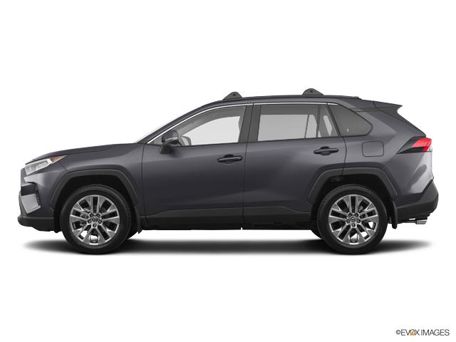 2019 Toyota RAV4 Vehicle Photo in Savannah, GA 31419