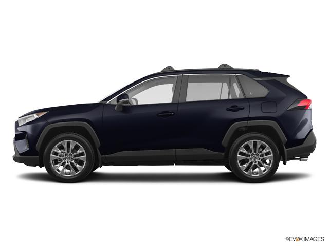 2019 Toyota RAV4 Vehicle Photo in Statesboro, GA 30458