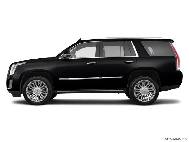 2019 Cadillac Escalade Vehicle Photo in TOPEKA, KS 66609-0000