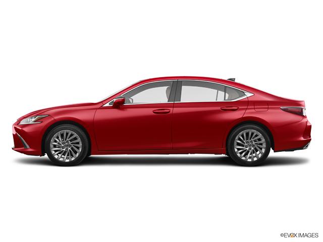 2019 Lexus ES 350 Vehicle Photo in SAVANNAH, GA 31406-4513