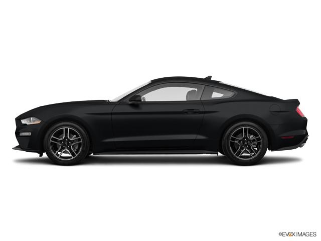 2021 Ford Mustang Vehicle Photo in BEAUFORT, SC 29906-4218