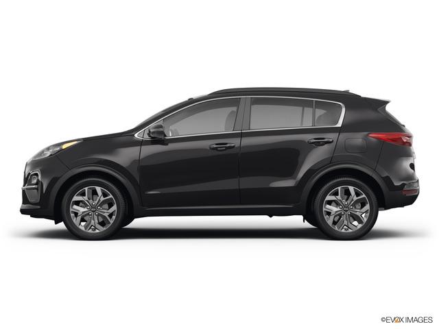 2022 Kia Sportage Vehicle Photo in Lees Summit, MO 64086