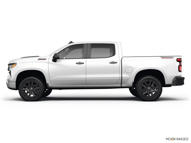 2022 Chevrolet Silverado 1500 Vehicle Photo in BRUNSWICK, GA 31525-1881