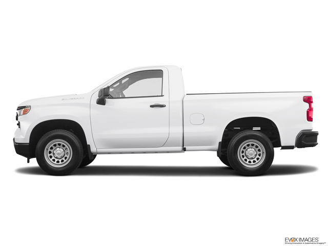 2023 Chevrolet Silverado 1500 Vehicle Photo in Hinesville, GA 31313