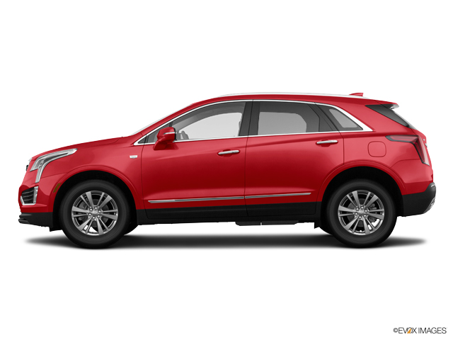 2024 Cadillac XT5 Vehicle Photo in SUNRISE, FL 33323-3202