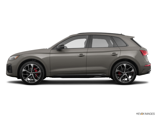 2024 Audi SQ5 Vehicle Photo in Trevose, PA 19053