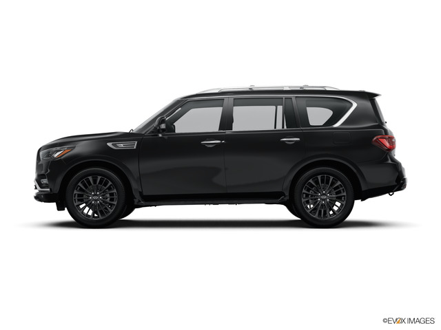 2024 INFINITI QX80 Vehicle Photo in Willow Grove, PA 19090