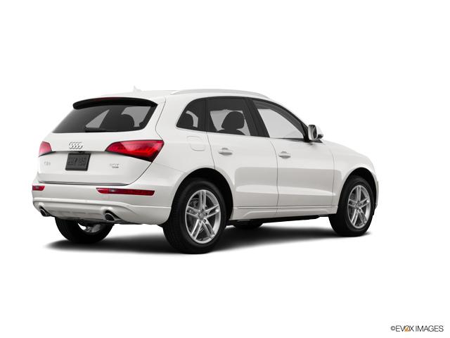 2017 Audi Q5 Vehicle Photo in Willow Grove, PA 19090