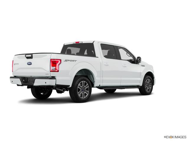 2017 Ford F-150 Vehicle Photo in POOLER, GA 31322-3252