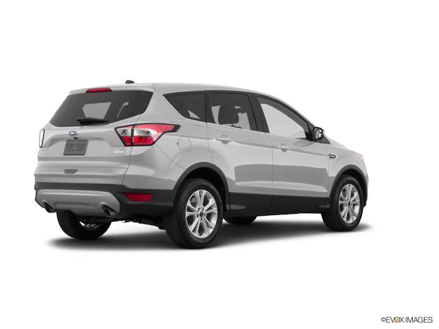 2018 Ford Escape Vehicle Photo in Statesboro, GA 30458