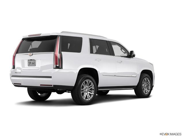 2019 Cadillac Escalade Vehicle Photo in BRUNSWICK, GA 31525-1881