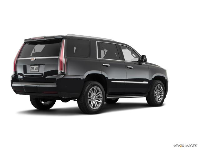 2019 Cadillac Escalade Vehicle Photo in TREVOSE, PA 19053-4984