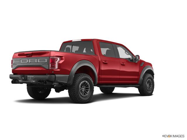 2019 Ford F-150 Vehicle Photo in POOLER, GA 31322-3252