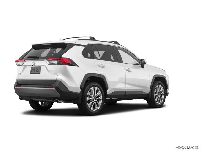 2019 Toyota RAV4 Vehicle Photo in BEAUFORT, SC 29906-4218