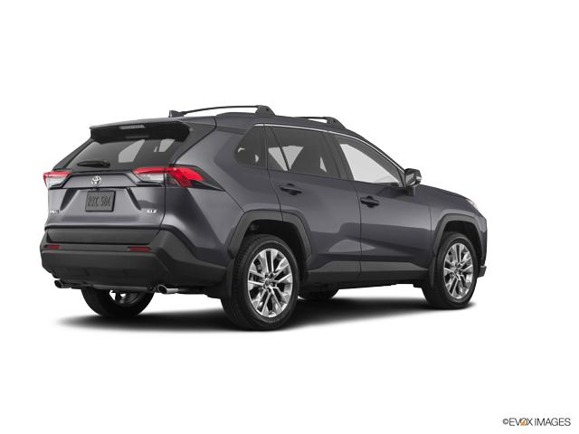 2019 Toyota RAV4 Vehicle Photo in Savannah, GA 31419