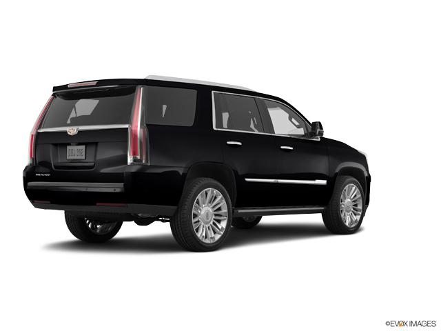 2019 Cadillac Escalade Vehicle Photo in TOPEKA, KS 66609-0000