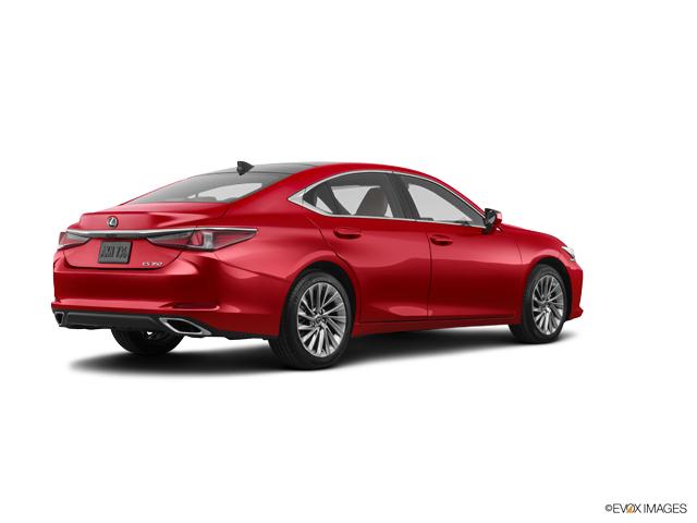 2019 Lexus ES 350 Vehicle Photo in SAVANNAH, GA 31406-4513