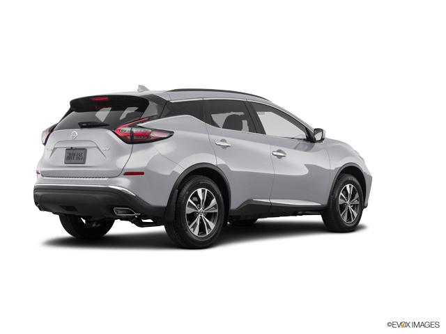 2019 Nissan Murano Vehicle Photo in Lees Summit, MO 64086