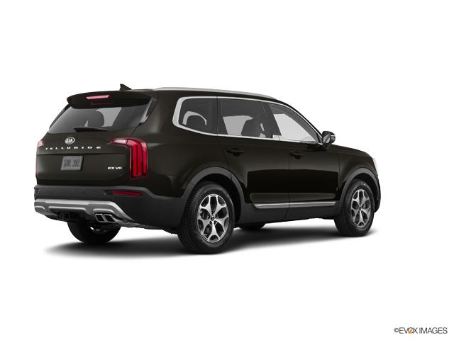 2020 Kia Telluride Vehicle Photo in Lees Summit, MO 64086