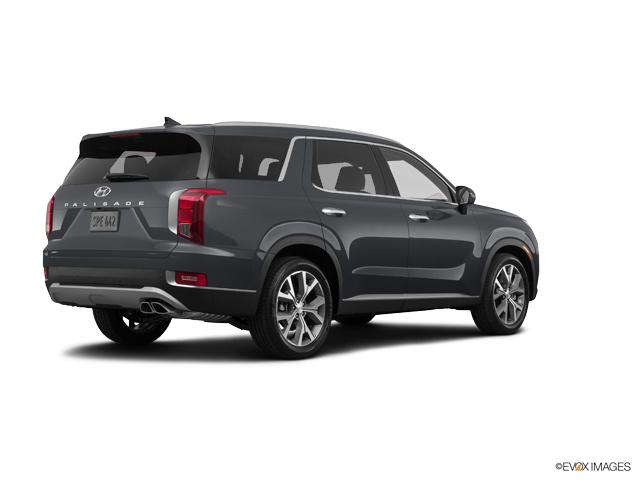 2020 Hyundai PALISADE Vehicle Photo in Philadelphia, PA 19116