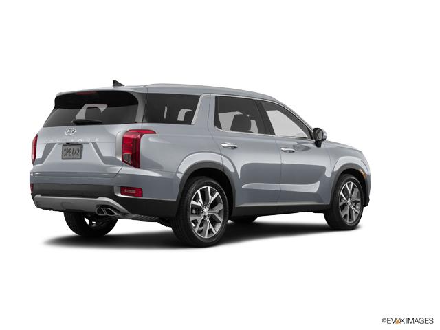 2020 Hyundai PALISADE Vehicle Photo in Philadelphia, PA 19116